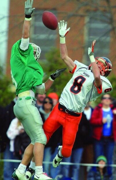 AllemanFB112010js